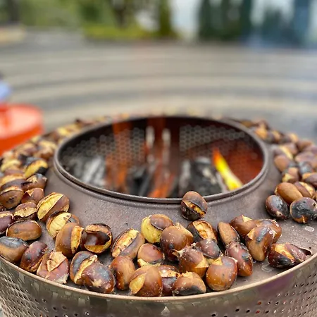 Panorama Otel Kartepe