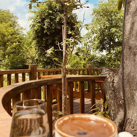 Panorama * קארטפה